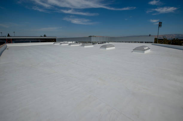 Best Roof Moss and Algae Removal  in Ridgeland, SC