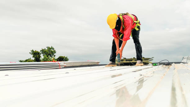 Best Solar Panel Roofing Installation  in Ridgeland, SC