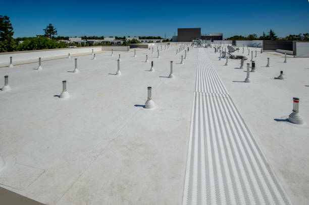 Best Roof Leak Repair  in Ridgeland, SC